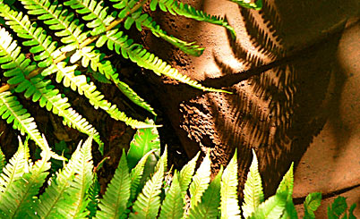 免费呼叫轰炸神器ios